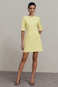Light Yellow A Line Round Neck Short Work Dress