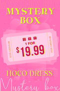 $19.99 Secret Homecoming Dress