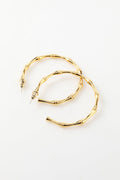 Golden Circle Earrings