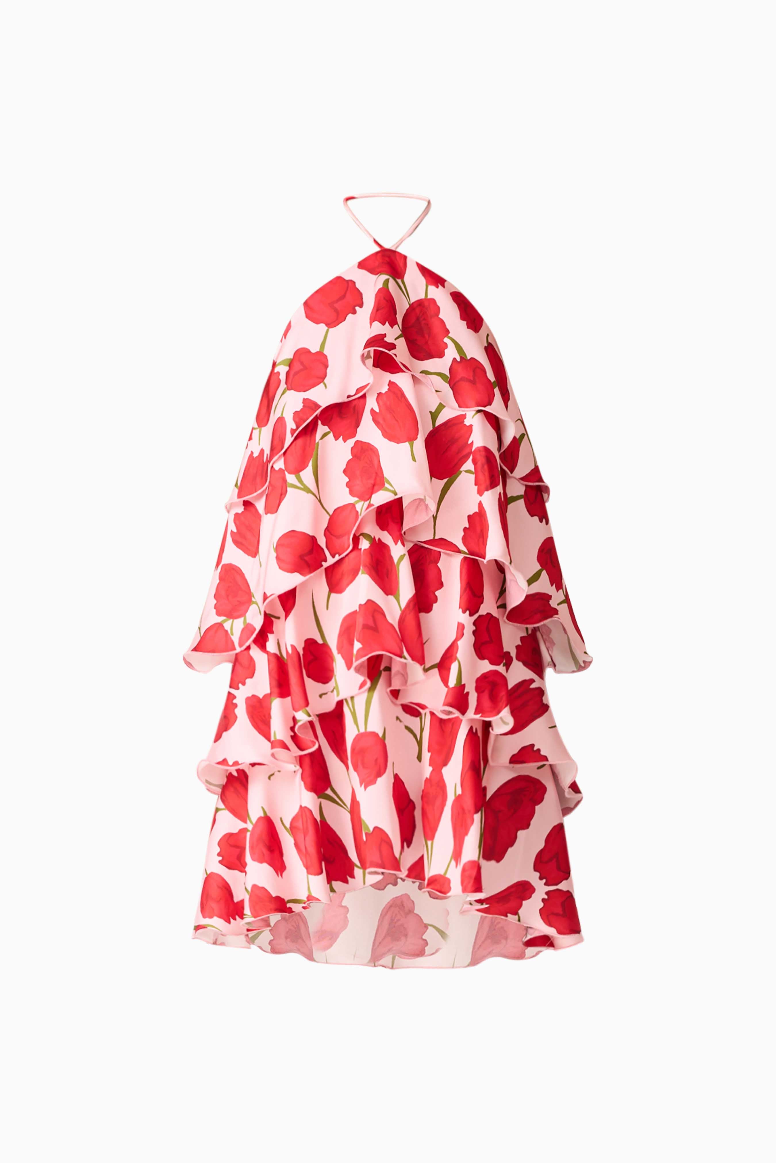 Melia Halter Mini Dress in Pink & Red Floral